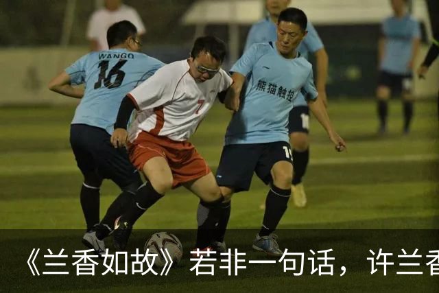 《兰香如故》若非一句话，许兰香始终不知，赵星棠为何痛恨林锦岐