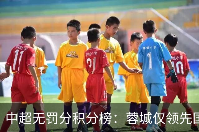 中超无罚分积分榜：蓉城仅领先国安3分！申花进前3 英博第5 津门虎第7