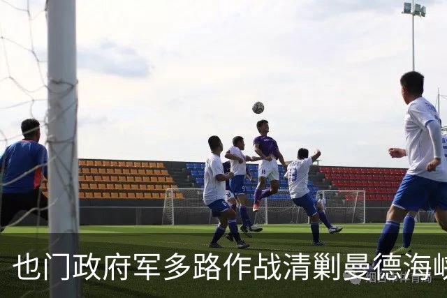 也门政府军多路作战清剿曼德海峡胡塞武装，消灭800余名武装分子，摧毁190辆装甲车及作战车辆