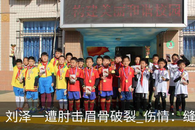 刘泽一遭肘击眉骨破裂 伤情：缝30多针+伤停2周！