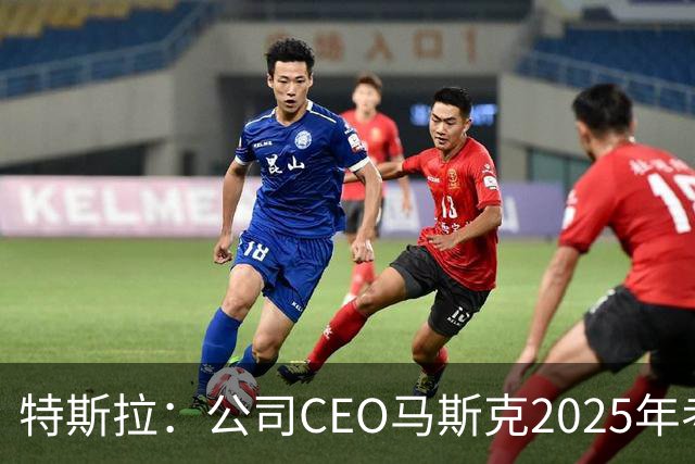 特斯拉：公司CEO马斯克2025年考核未达标，全年实际到手收入为零，没有现金，也没有解锁任何股权
