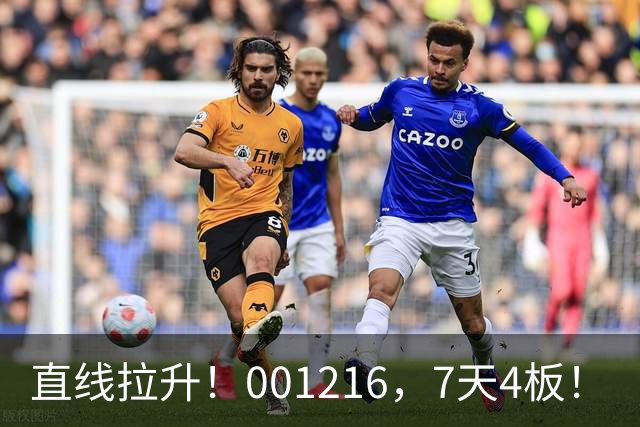 直线拉升！001216，7天4板！