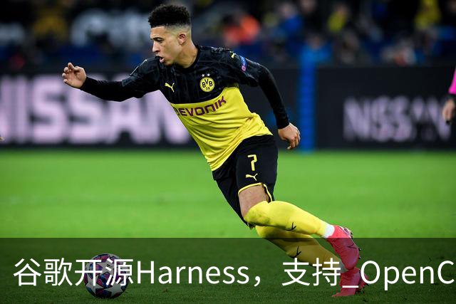 谷歌开源Harness，支持 OpenCode 和 Codex：国内开发者接入Jev实测“真行”