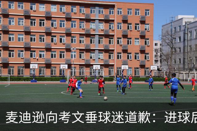 麦迪逊向考文垂球迷道歉：进球后亲吻热刺队徽时机不对
